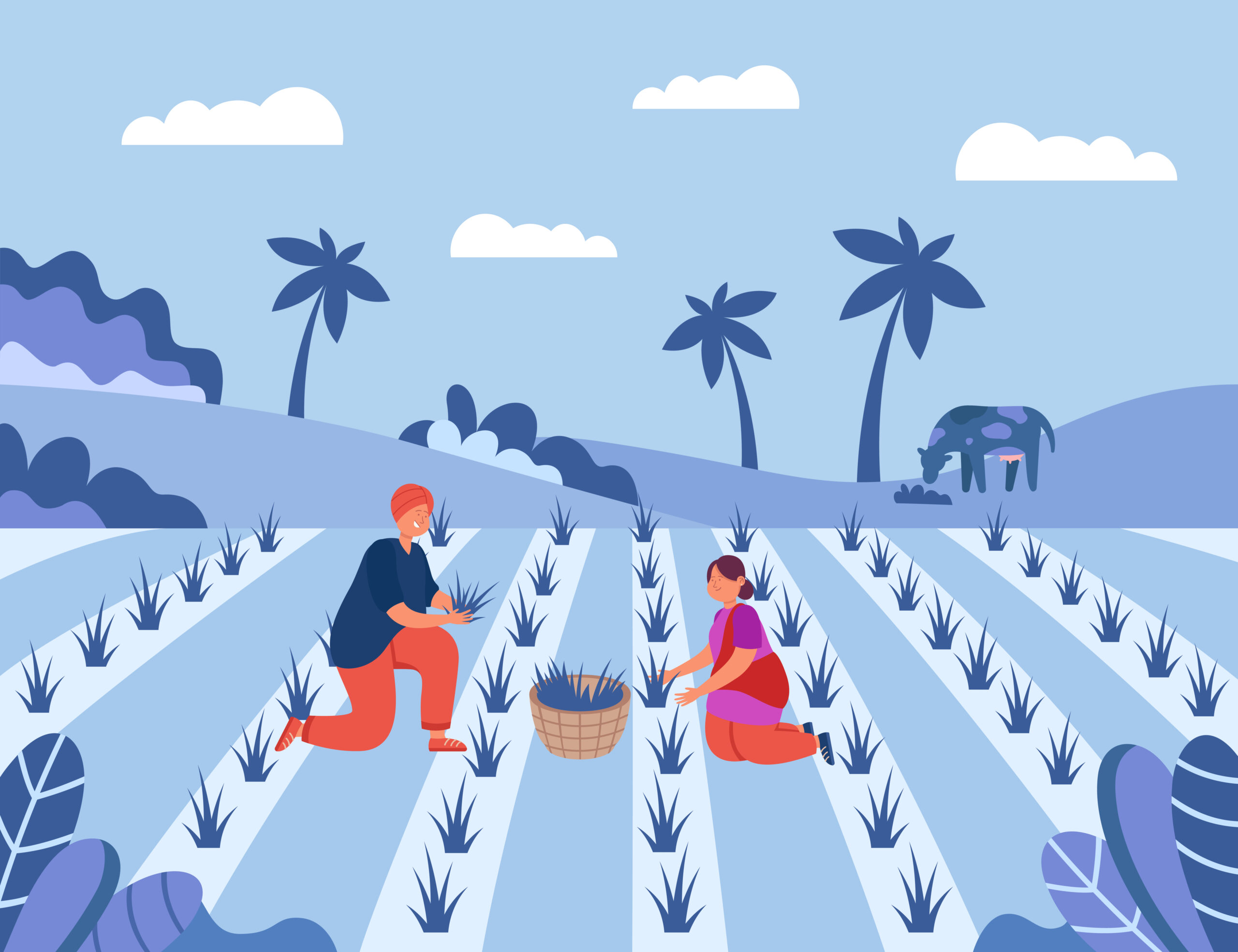 Male and female farmers working on rice fields in Indian village. Cartoon man and woman working on farm flat vector illustration. India, farming, agriculture concept for banner, website design